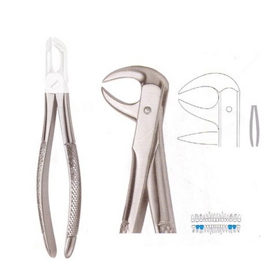 Extracting Forceps